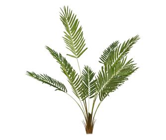 Planta artificiala, Areca fara ghiveci, Naimeed D5643, 189x135 cm, Verde