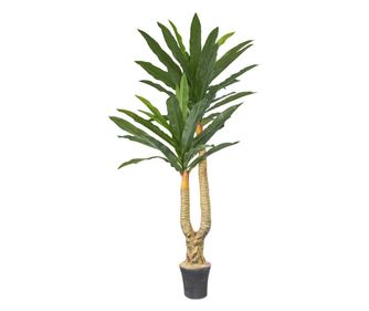 Copac  artificial, Dracaena fara ghiveci, Naimeed D5612, 166x100 cm, Verde
