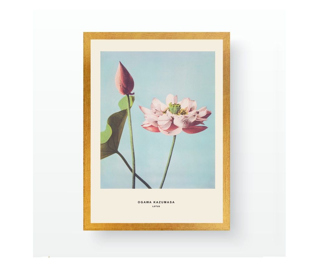 Pictura decorativa cu rama, AC523362-5575 