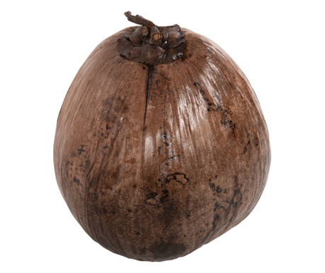 Decoratiune nuca de cocos, natur, 20x20x20 cm