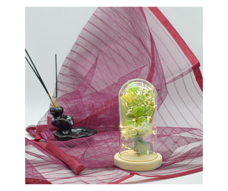 Aranjament floral in cupola de sticla, lumina Led, D4000, Verde