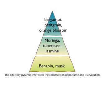Rezerva parfum 250 ml Monoi&Moringa, Esteban Paris-BMM-002