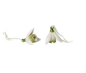 Кокиче Villeroy & Boch, Mini Flower Bells Snowdrop