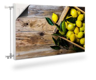 Muralo Mágnes, radiátor dekoráció, citrom, trópusi gyümölcsök modern stílus a konyhában 100x60