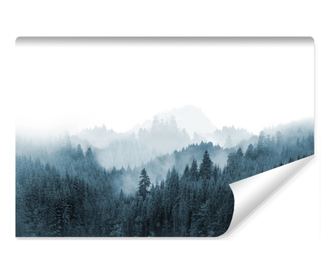 Muralo Fotótapéta hegyi táj, ködös erdő natúr stílusú dekoráció nappaliba és hálószobába 180x120cm
