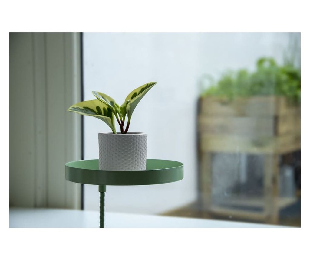 Esschert Design Növénytartó csipesssel, Kerek Zöld, M - 4
