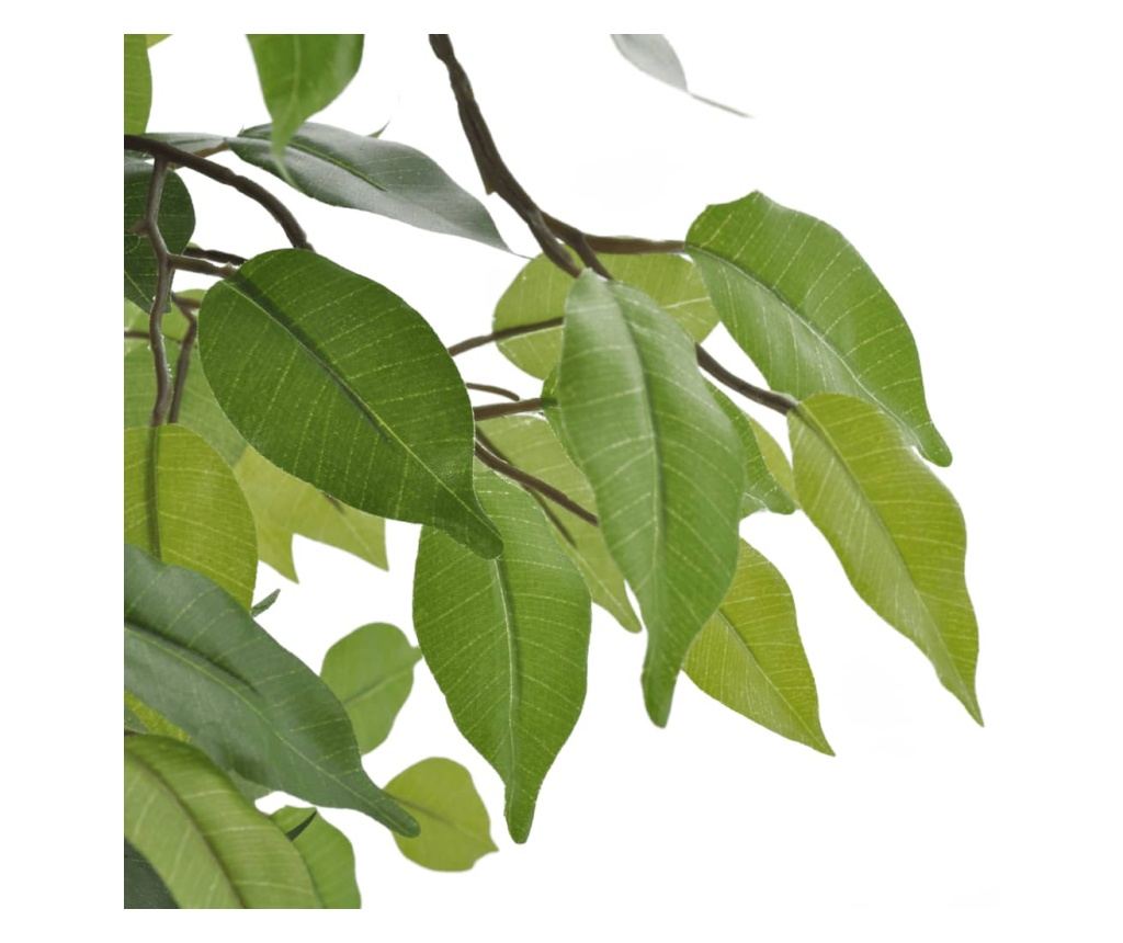 Umjetni patuljasti fikus s prirodnim izgledom i loncem, 60 cm - 2