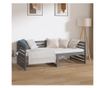 Daybed, Γκρι, 90x190 εκ., Μασίφ Ξύλο Πεύκου thumbnail 3