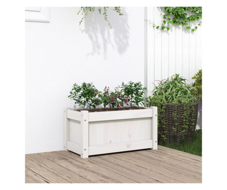 Jardinieră de grădină, alb, 60x31x31 cm, lemn masiv de pin
