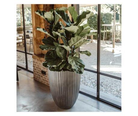 Capi Vas de plante Urban Tube elegant, gri inchis, 55x73 cm, mic