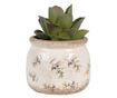 Set 2 ghivece flori ceramica Masline 12x10 cm