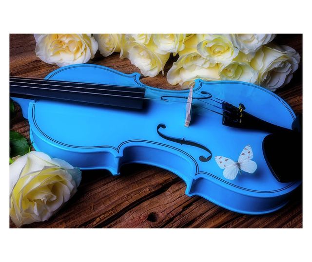 IdeallStore® drvena klasična violina, veličina 4/4, dva gudala, kofer od tkanine