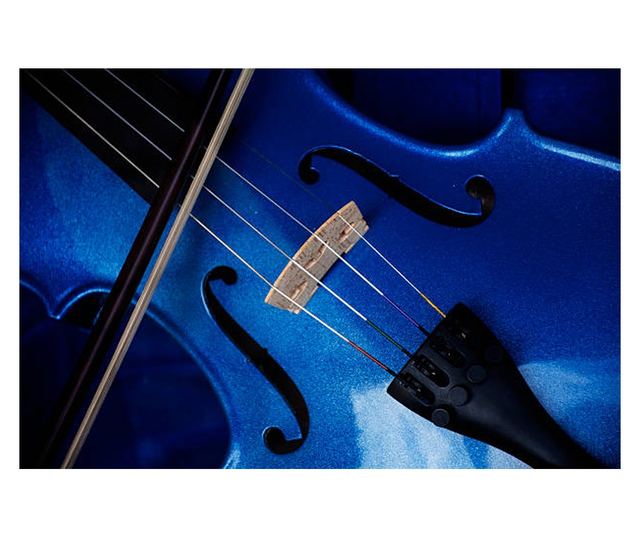IdeallStore® drvena klasična violina, veličina 4/4, dva gudala, kofer od tkanine