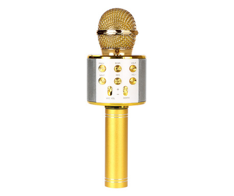 Microfon Wireless Karaoke MRG MWS858, Bluetooth, Reincarcabil, Pentru Copii, Cu Boxa, Auxiliar, Cititor Card MicroSD si USB, Aur