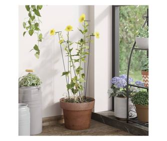 Tarusi plante de gradina, 20 buc., verde inchis, 61 cm, otel