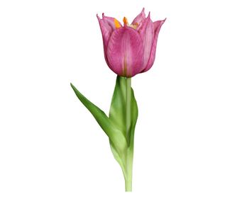 Lalea artificiala la fir, culoare fucsia, inaltime 24 cm