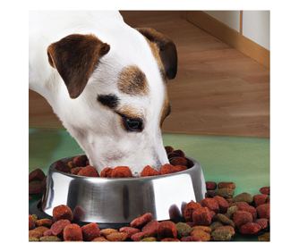 Castron Metalic pentru hranire animale de companie - 29cm