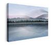 Tablou Canvas, Grey Lake Trees, 80x120 cm