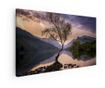 Vászonkép, Lone Tree, 80x160 cm thumbnail 1