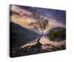 Vászonkép, Lone Tree, 80x120 cm thumbnail 1