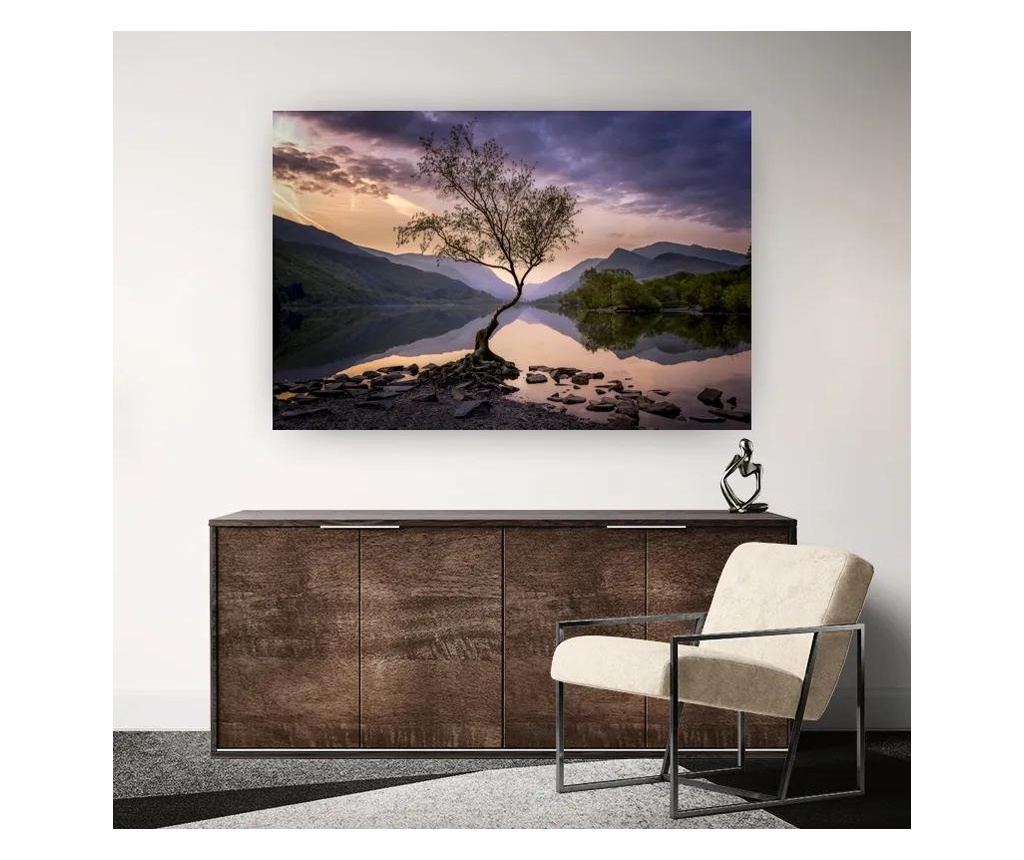 Vászonkép, Lone Tree, 80x120 cm - 2