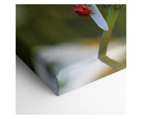Slika, Ladybug On Daisy Petal, 60x120 cm