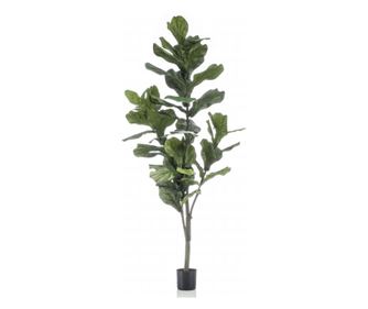 Изкуствен Фикус лирата, 160 см