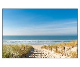 Fototapeta obývací pokoj dekorace abstrakce s 3D efektem cesta na pláž moře pampovou trávou 270x180  270x180cm