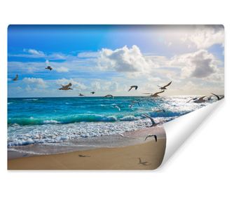 Fototapet Plaja Mare Valuri Pasari, Cer, Vedere, Peisaj 3D, Decorativ, Bucatarie  405x270cm