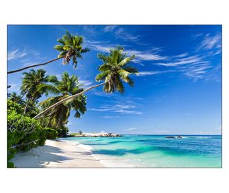 Fototapeta Nástěnná dekorace s módním 3D efektem, abstraktní palmy, ocean beach, do obývacího pokoje 135x90  135x90cm