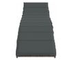 szürke polyrattan napozóágy párnával 55x199x50 cm