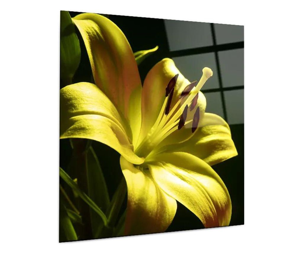 Tablou Sticla, Yellow Gold Exotic, 100x100cm