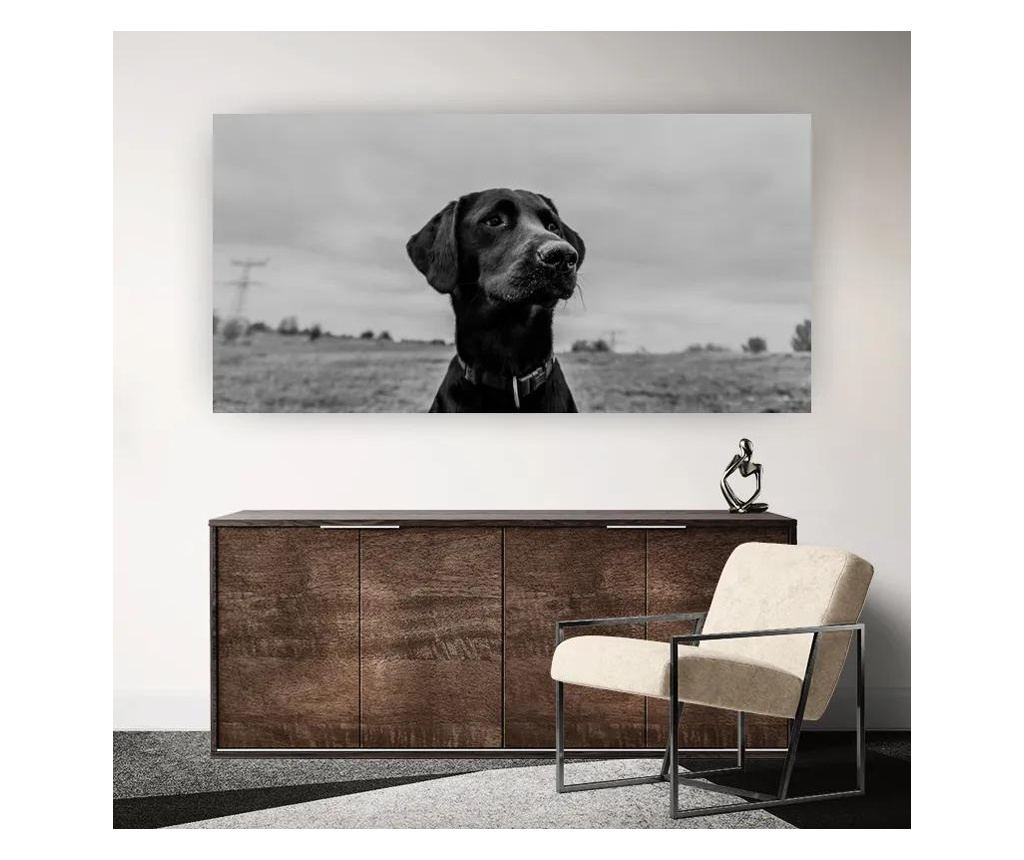 Slika, Black Dog, 100x200 cm - 4