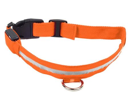 Osvetljena ovratnica z LED Orange, za pse ali mačke, AVX-AG232C