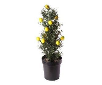 Umetna okrasna rastlina, sadilnik s sadjem, 60 cm, GLN 251M