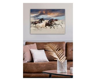 Okrasna slika na platnu 310236866-5070