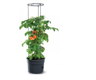 Ghiveci cu suport tip sera pentru rosii, 21 piese, 29.5x24.5x1152cm, Prosperplast