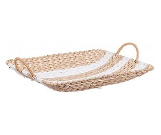 Set od 5 dekorativnih posuda za travu 38x28x4.5 cm