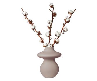 Flori uscate - 3 buc - Bouquet 'Cotton branch' - Flori uscate - Alb