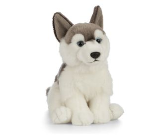 Plišasti kuža Husky