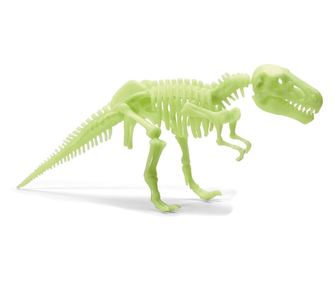 Schelet T-Rex reflectorizant