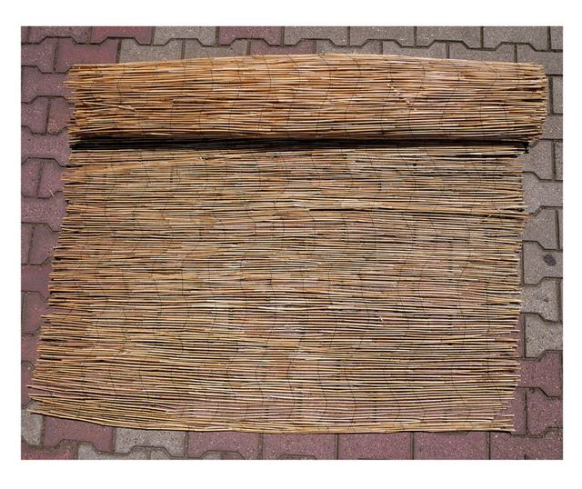 Ograda/zaslon od trske, 5x2 m