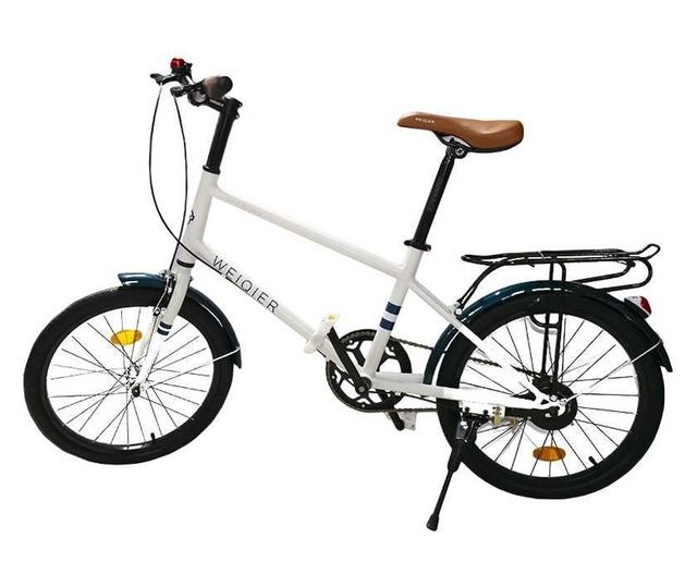 Dječji bicikl sa prtljažnikom, metalni okvir, 20"