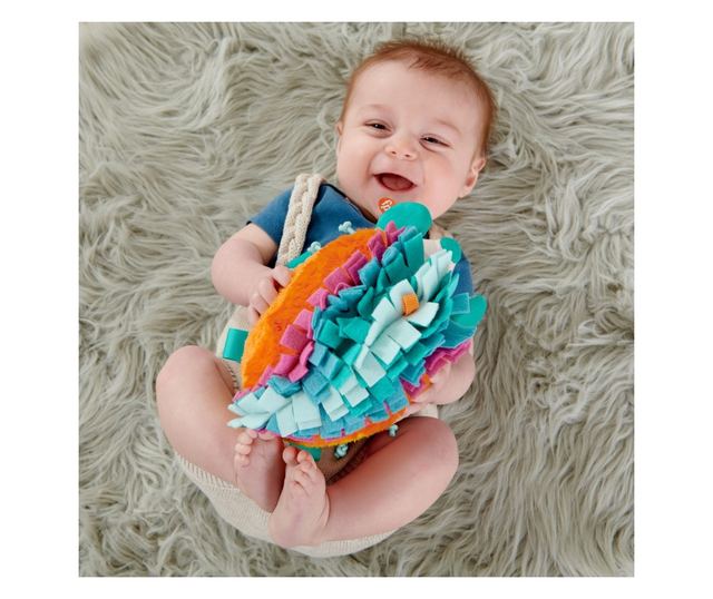 FISHER PRICE JEŽEK SE SMYSLOVÝMI AKTIVITAMI