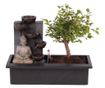 Bonsai Vodopad Buda - Bonsai - Visina 25-35cm - ⌀29cm