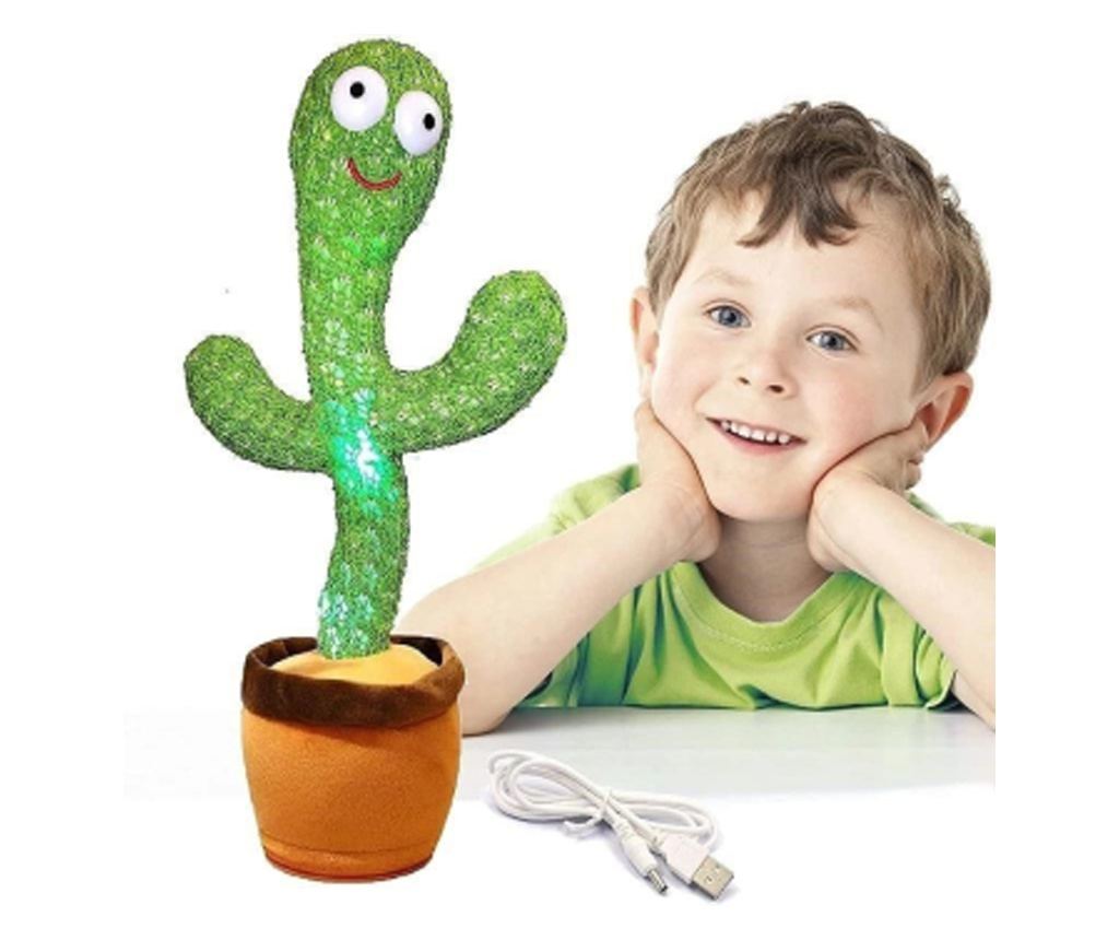 large indoor cactus 3-5 FT Peruvian Cactus – Dahing Plants main image 0