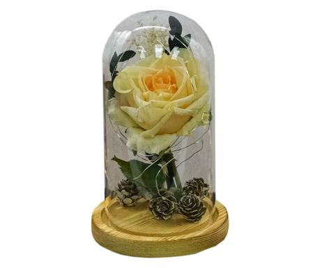 Rose Floral Arrangement in Glass Dome with LED Light, Orange