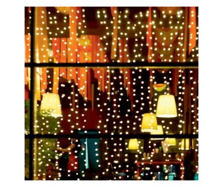 Zunanja svetlobna zavesa, 20 girland/20 mikro LED, dimenzije 2x2 m