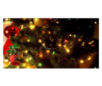 Instalatie de Craciun cu Baterii Tip Liniar, 2 jocuri de lumini, Fir Verde 5 m 50 LED -uri, Multicolor