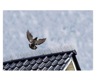 Nature Šiljci za ptice, 6 kom, 32 x 11 x 18 cm